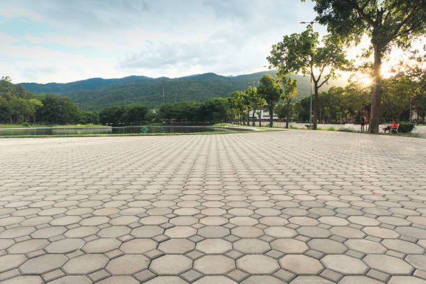 Best Interlocking Driveway Pavers  in Hidden Meadows, CA